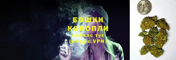 ГАЛЛЮЦИНОГЕННЫЕ ГРИБЫ Няндома