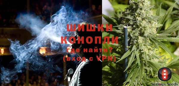 ГАЛЛЮЦИНОГЕННЫЕ ГРИБЫ Няндома
