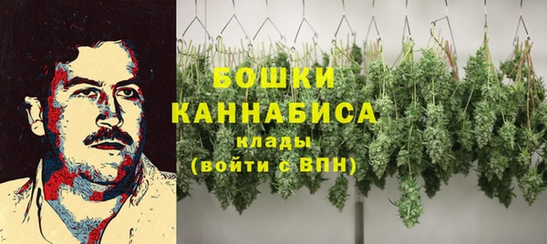крисы Красноперекопск