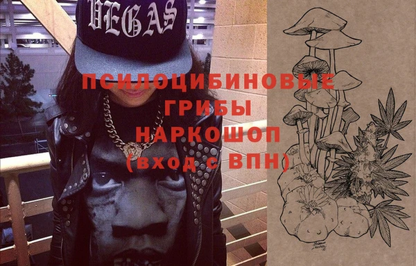 ГАЛЛЮЦИНОГЕННЫЕ ГРИБЫ Няндома
